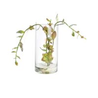 Succulent Spray with roots arrangement