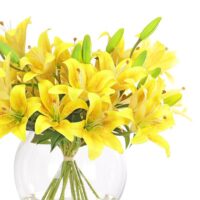 Tiger Lily Arrangement - Yellow - Image 2