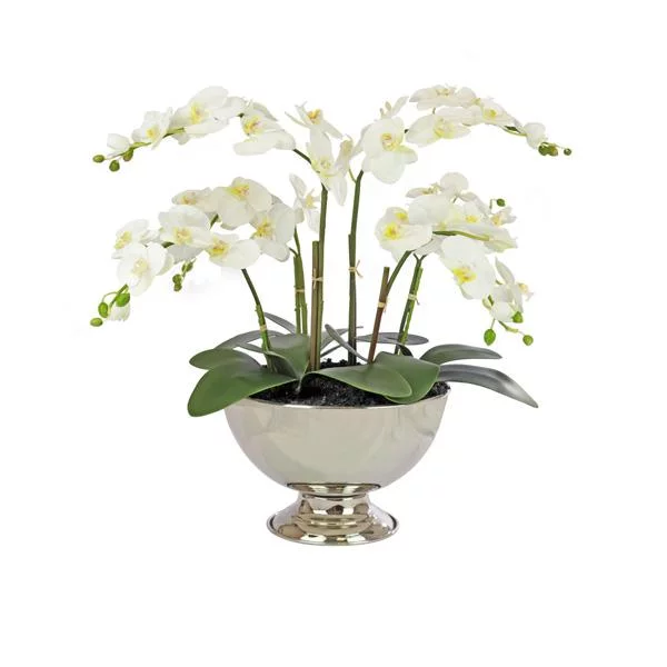 P1154-1---w---68cm-x-h---64cm