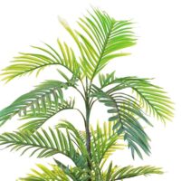 OP-ARECA3FT--32CM---zoom