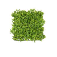 Moss Mat