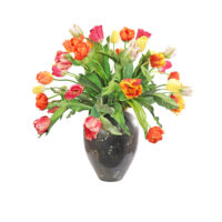 Tulip Arrangement - Mixed