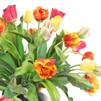 Tulip Arrangement - Mixed - Image 2