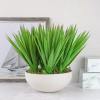 Sisal Plant Arrangement - Image 3