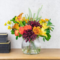 Dahlia & Sunflower Arrangement - Mixed - lifestyle