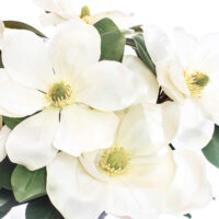 Magnolia Arrangement - White - zoom