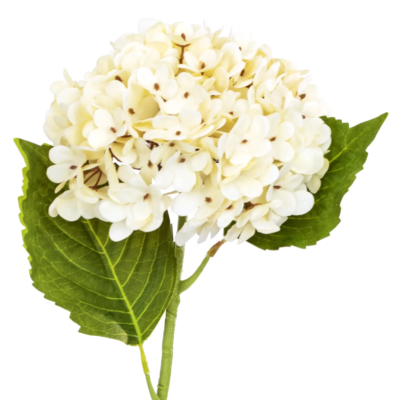 HYD-SP21IN-CR Cream Hydrangea Spray with leaves