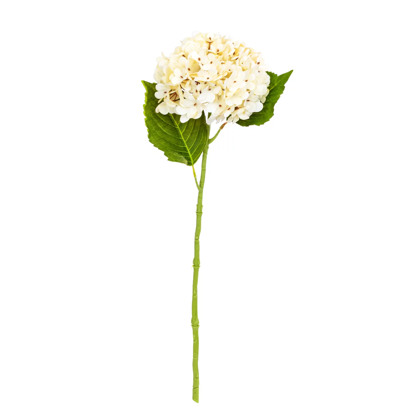 HYD-SP21IN-CR Cream Hydrangea Spray with leaves