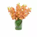 C406-52Hx40W-WEB