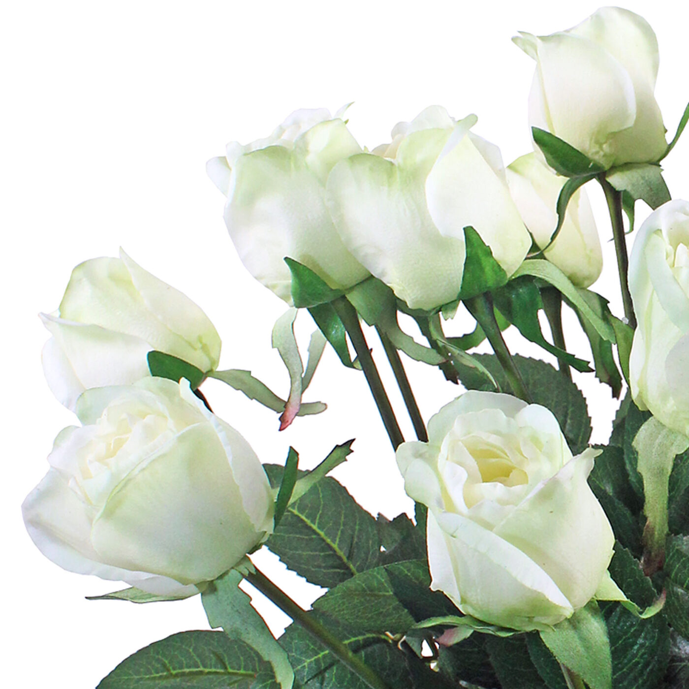 Mint Lisa Rose Bouquet in Cylinder Vase