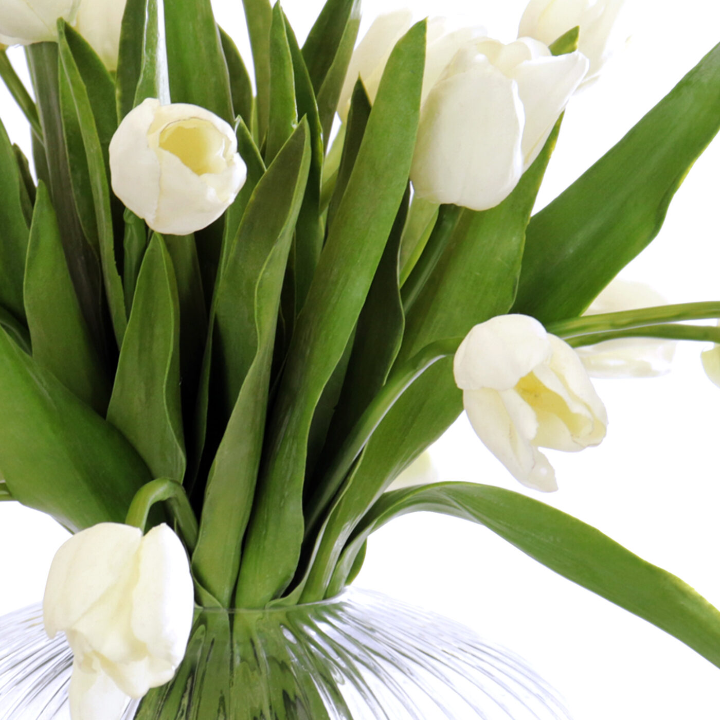 TULIPS WHITE IN DECORATIVE LOW RIBBED BOWL - Image 3
