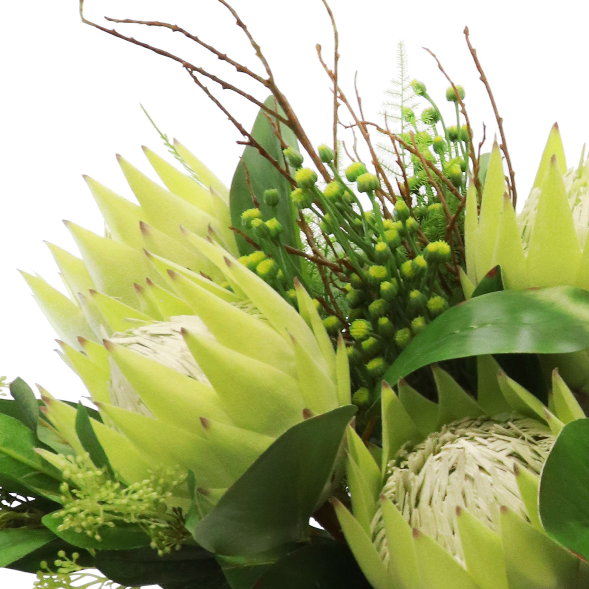 GREEN KING PROTEA WITH FERN AND DAISY BUDS