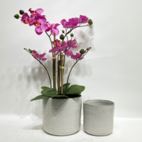 Ceramic Vase - Small White 12.5cm(H)X12.5cm(W) - Image 3