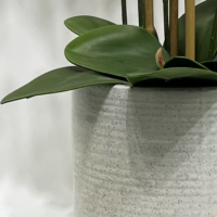 Ceramic Vase - Small White 12.5cm(H)X12.5cm(W) - Image 2