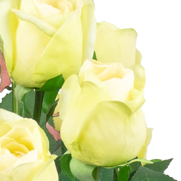 MINT LISA ROSES IN TAPERED Glass VASE