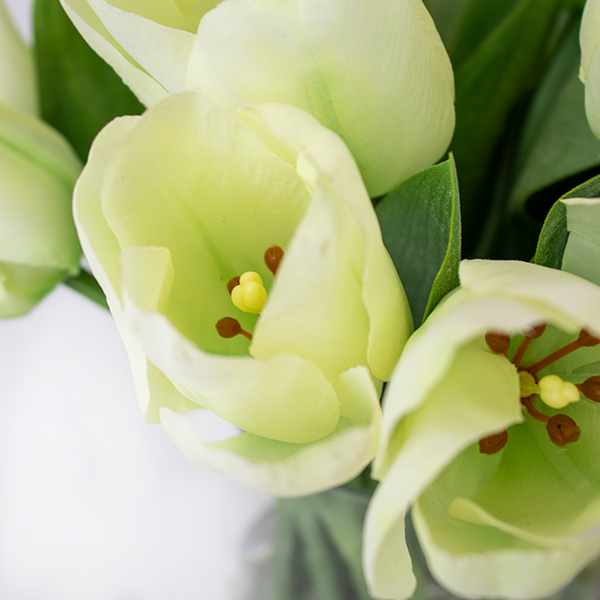 LIME TULIPS IN SMALL CYLINDER VASE