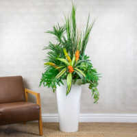 Tropical Arrangement - Mixed - Image 3