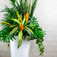Tropical Arrangement - Mixed - Image 2