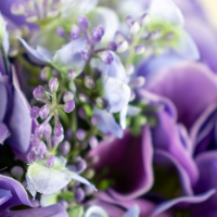 Hydrangea Flower Arrangement - Purple - Image 2