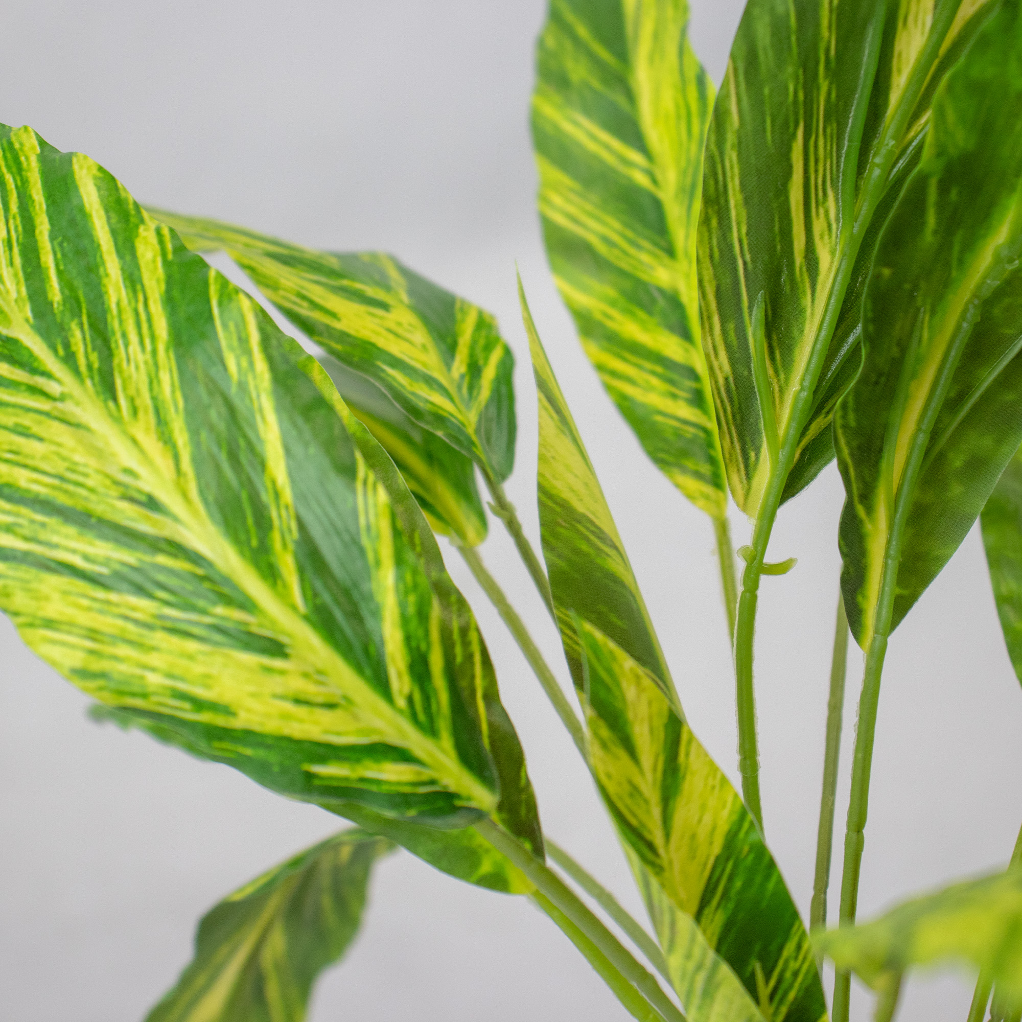 Yellow & Green Variegated Artificial Cordyline Plant Pick