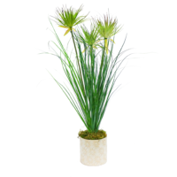 PLT219 ONION AND PAPYRUS GRASS IN CERAMIC VASE