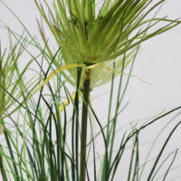 PLT219 ONION AND PAPYRUS GRASS IN CERAMIC VASE