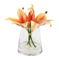BTG038 Orange Tiger Lily
