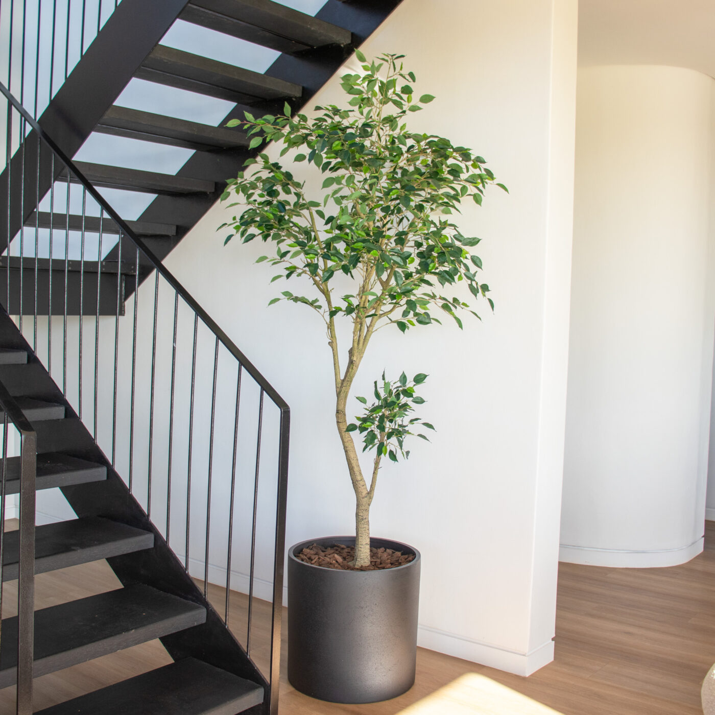 Ficus benjamina faux in pot under stairwell