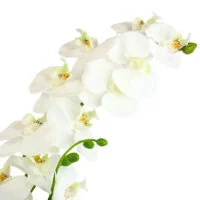 PHALAENOPSIS ORCHID SPRAY 95cm