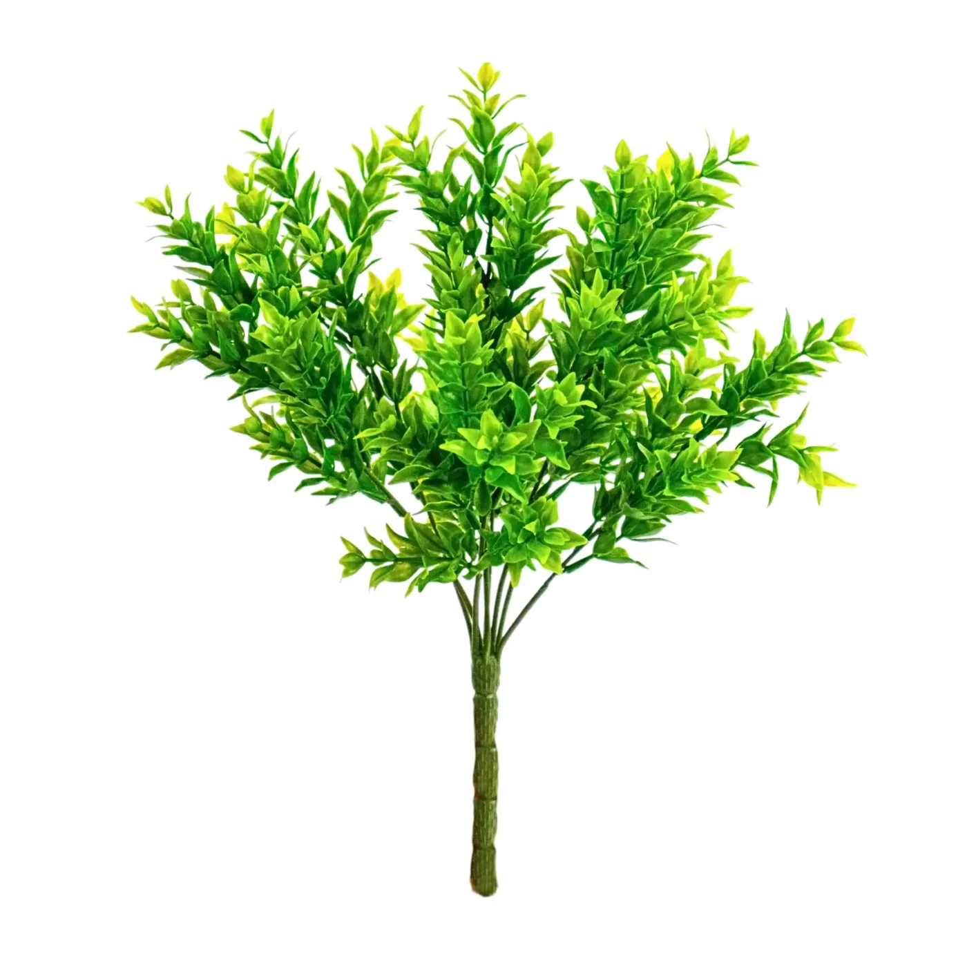 Ruscus Bush Spray Green - 30cm