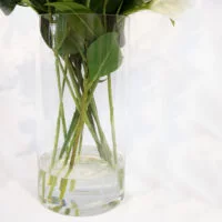 B461 LILY WHITE WITH SCABIOSA AND FOLIAGE IN CYLINDER VASE