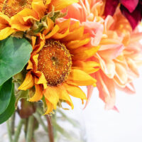 B462 SUNFLOWER GERBERA AND DAHLIA MIX