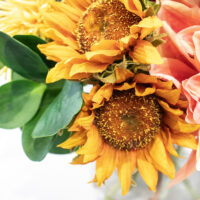 B462 SUNFLOWER GERBERA AND DAHLIA MIX