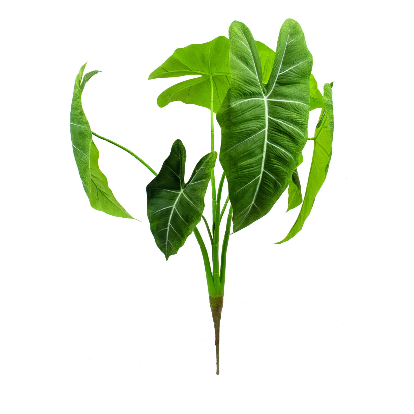 Artificial Alocasia Micholitziana Frydek Bush Pick – Green Velvet Alocasia