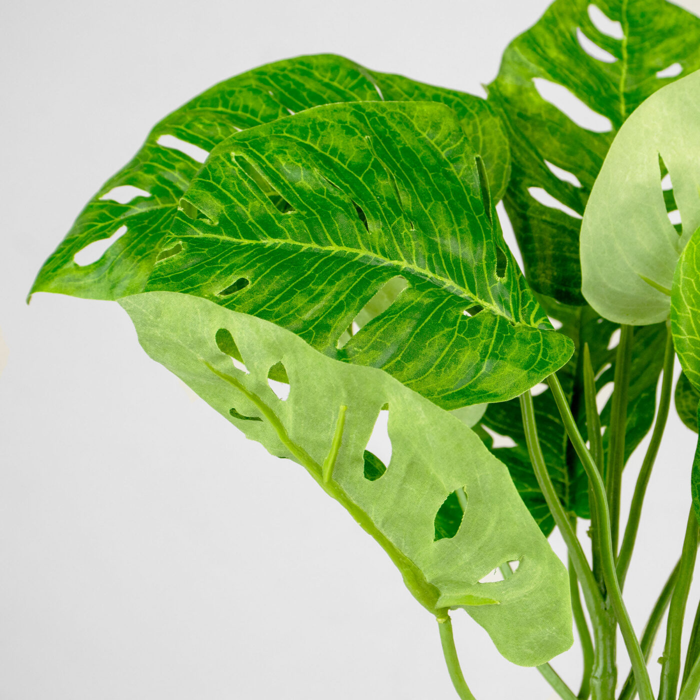 MONSTERA MONKEY LEAF PLANT PICK GREEN - 44CM