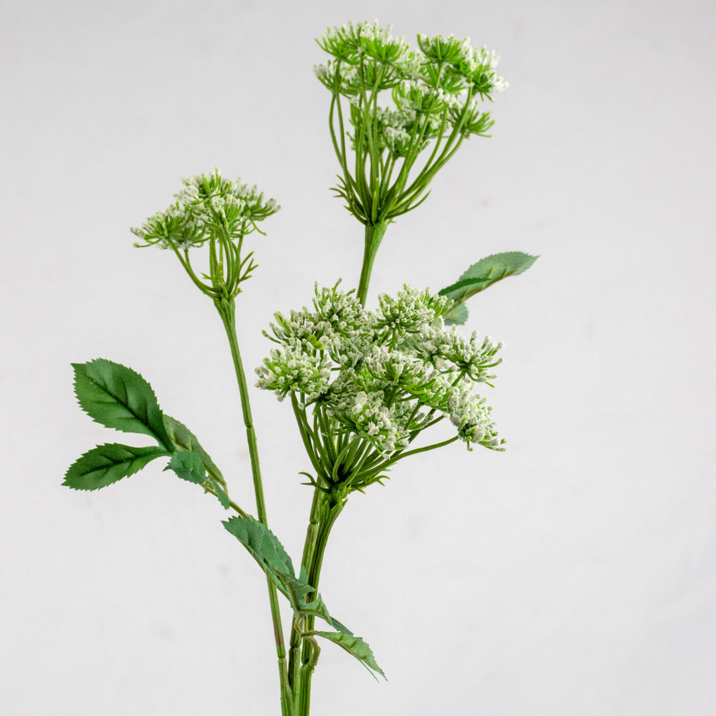 QUEEN ANNE'S LACE 82CM WHITE