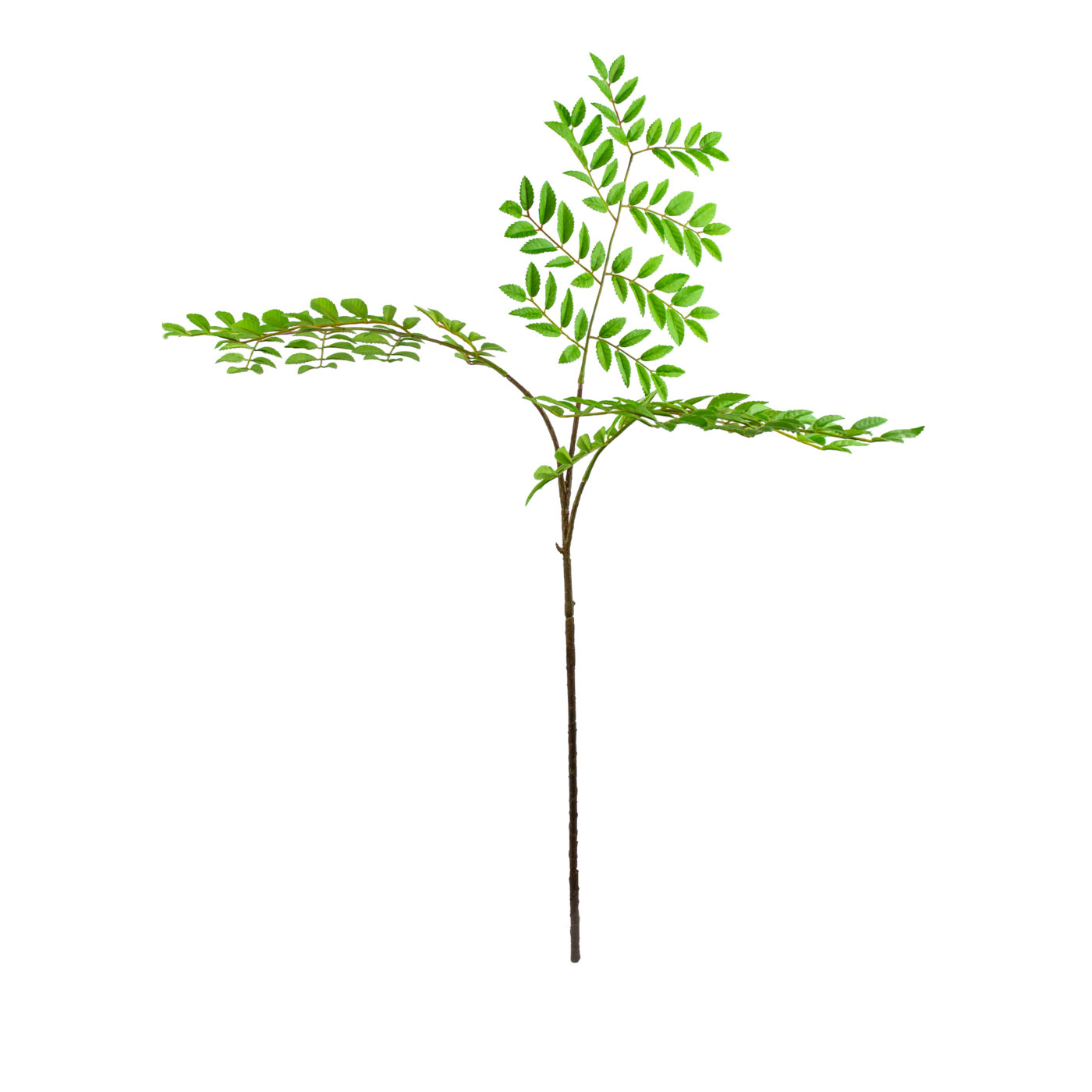 SORBUS LEAF STEM GREEN 95CM