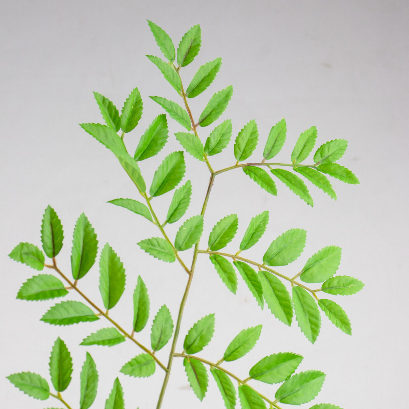 SORBUS LEAF STEM GREEN 95CM