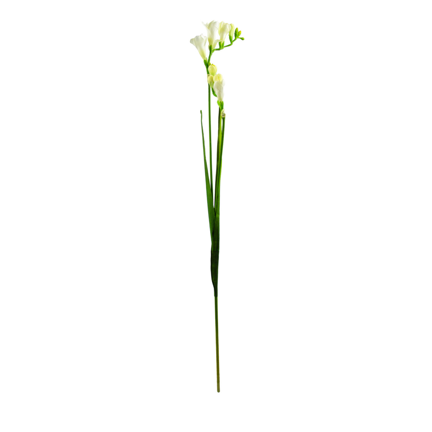 FREESIA SPRAY 83CM CREAM