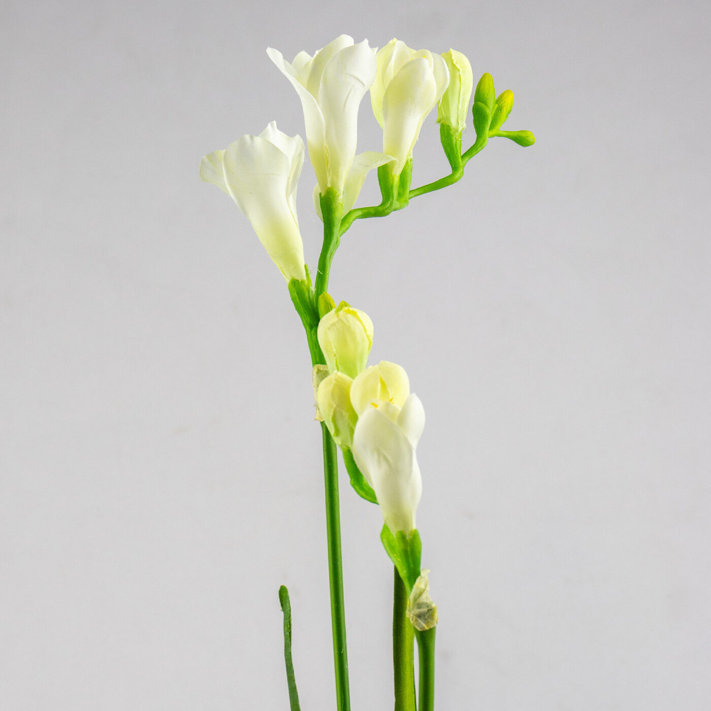 FREESIA SPRAY 83CM CREAM