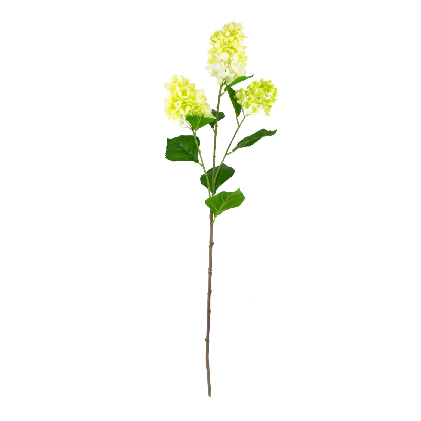 Cone Hydrangea Stem Cream and Green – 92cm