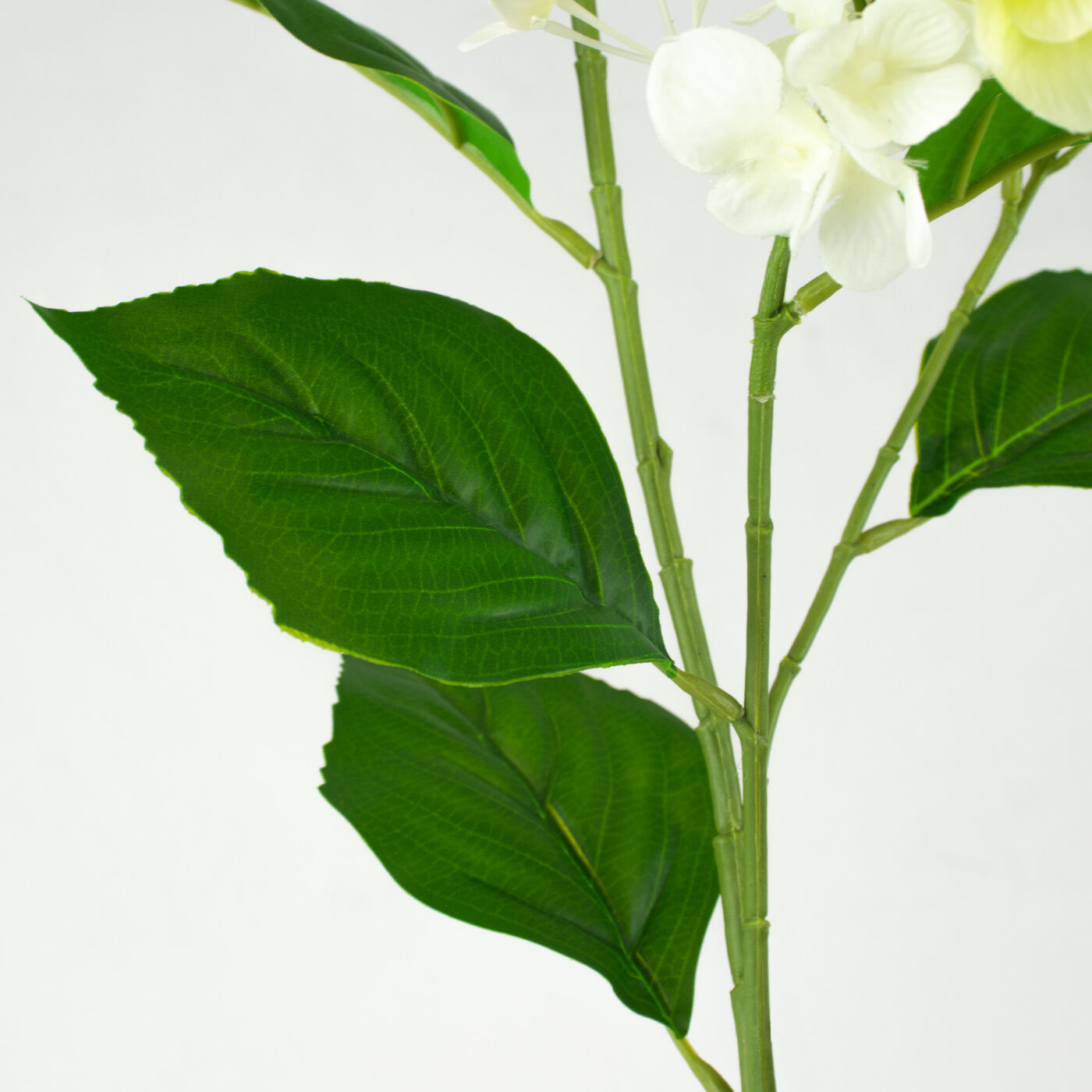 Cone Hydrangea Stem Cream and Green – 92cm