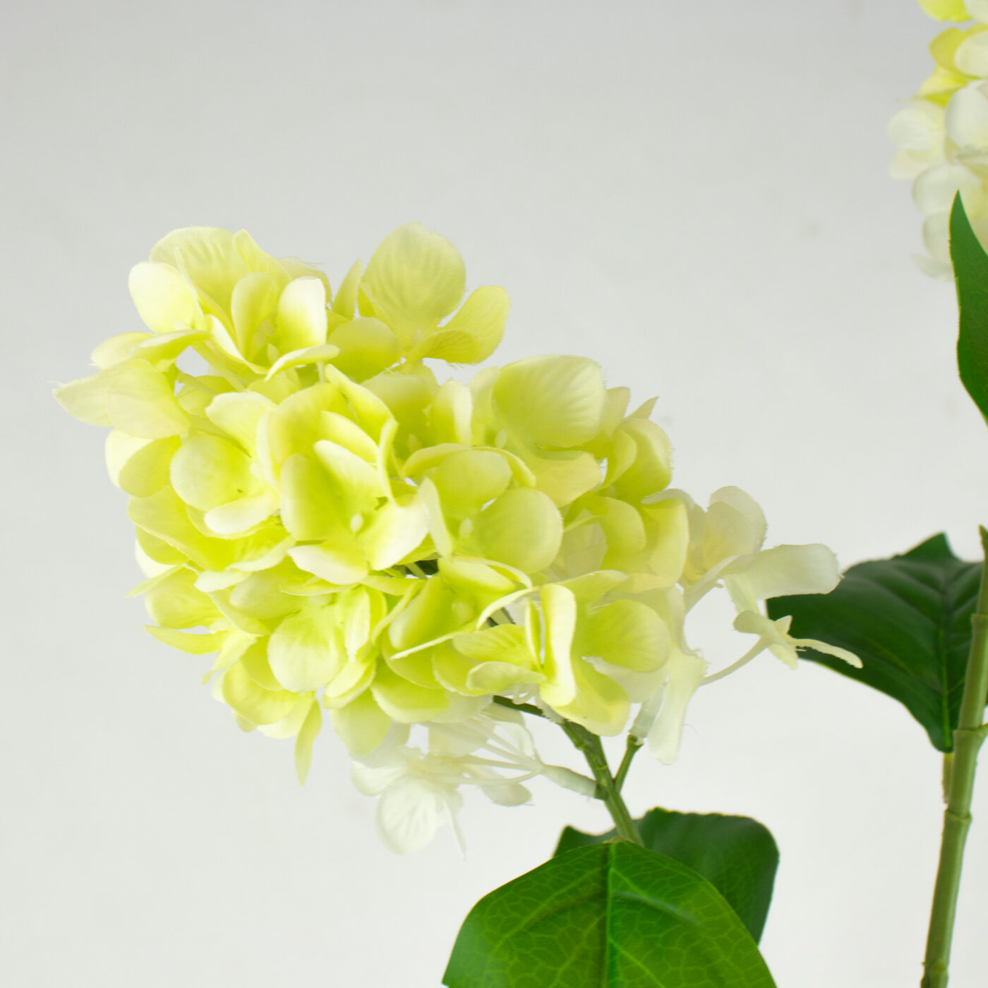 Cone Hydrangea Stem Cream and Green – 92cm