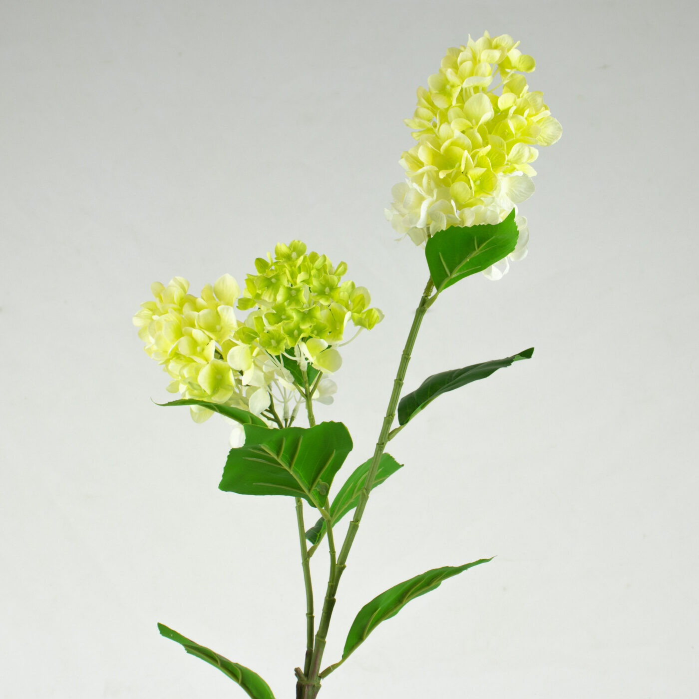 Cone Hydrangea Stem Cream and Green – 92cm
