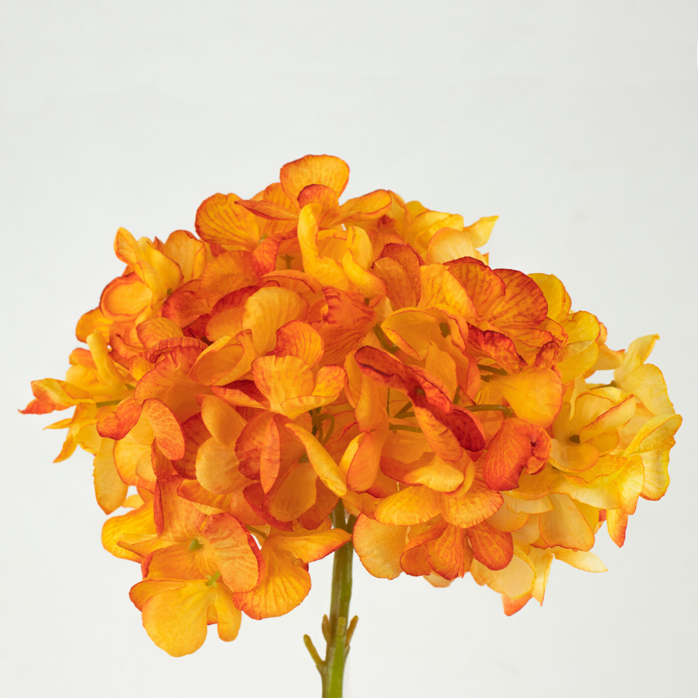 Artificial Hydrangea Stem Orange – 60cm Dry Look