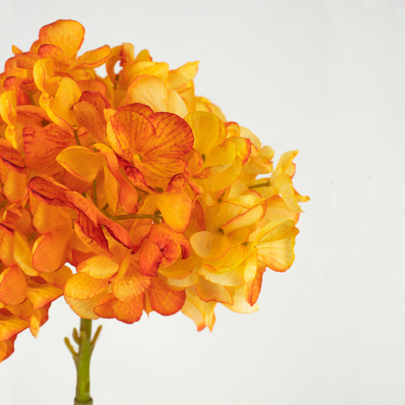 Artificial Hydrangea Stem Orange – 60cm Dry Look