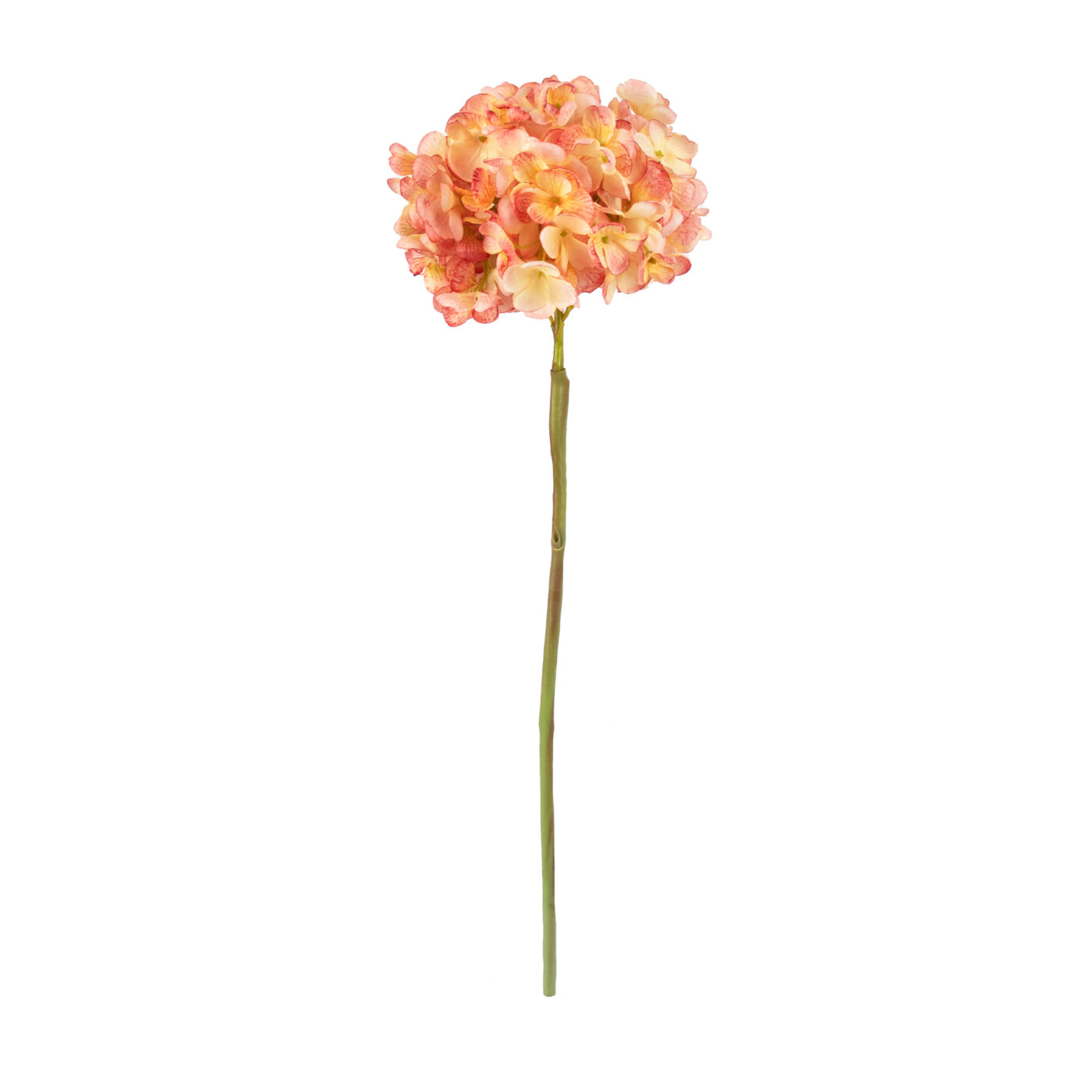 HYDRANGEA DRY LOOK PINK - 60CM