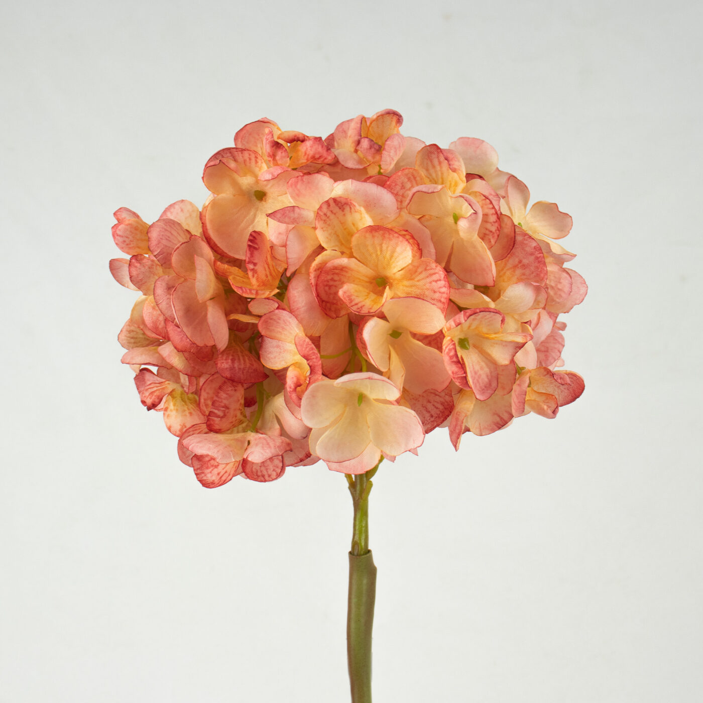 HYDRANGEA DRY LOOK PINK - 60CM