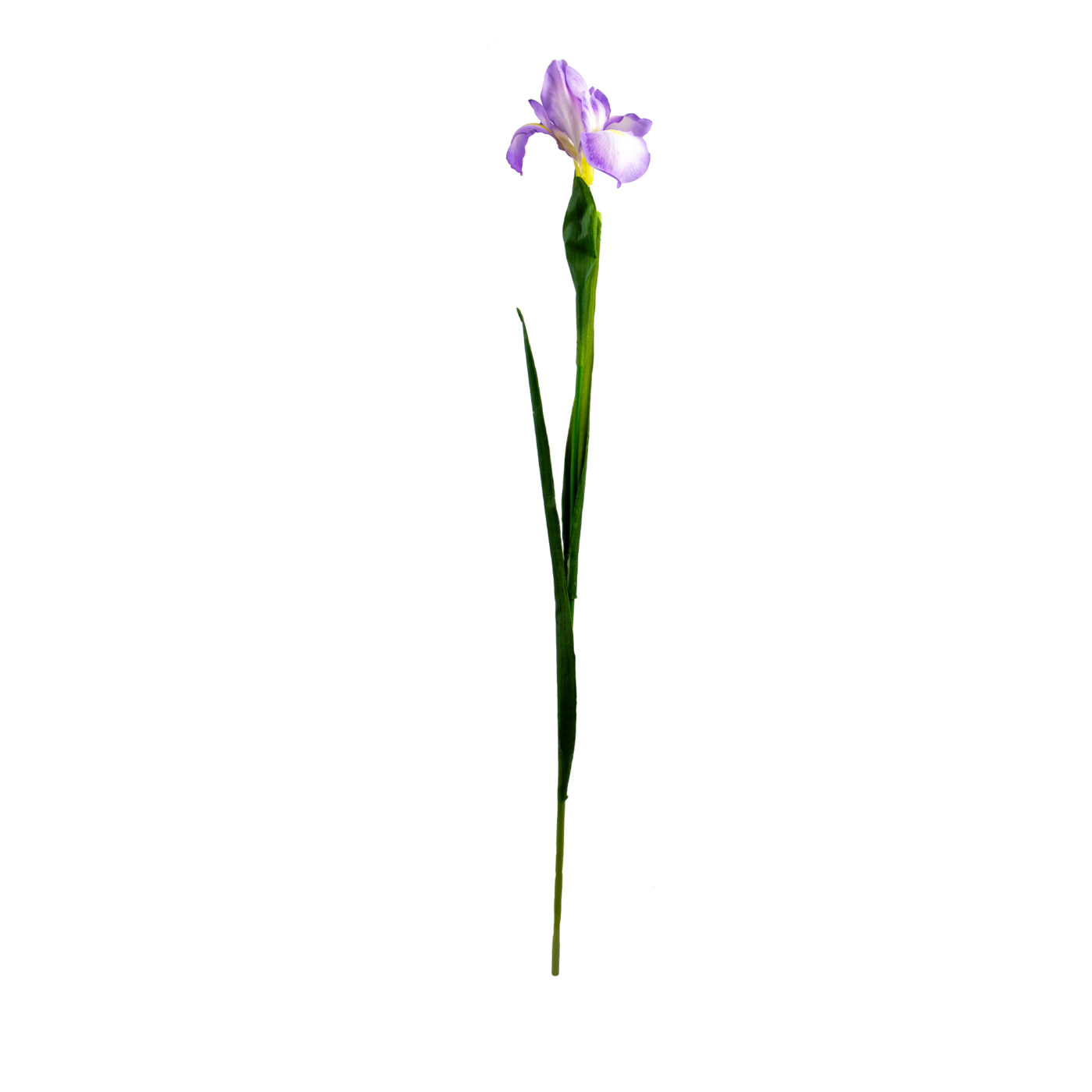 Lavender Iris Flower Spray with Leaves – 78cm Artificial Stem
