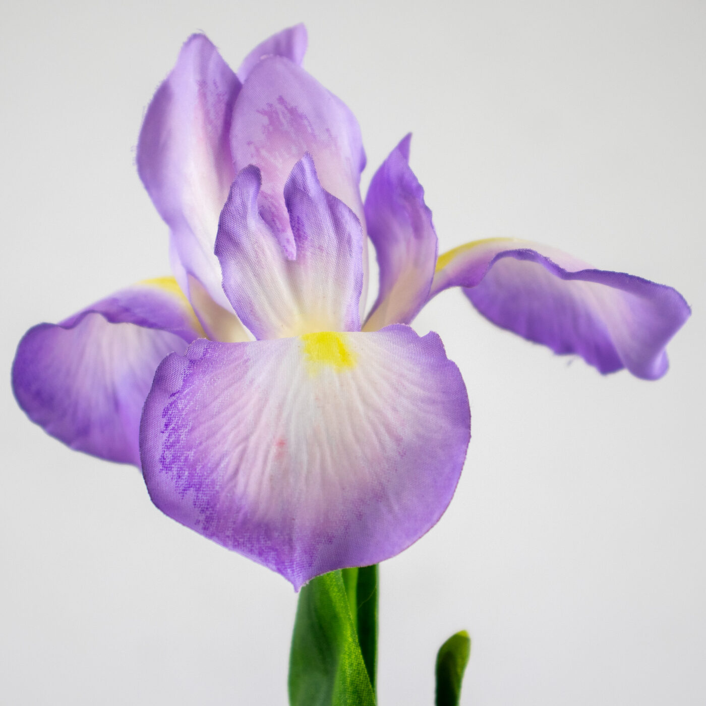 Lavender Iris Flower Spray with Leaves – 78cm Artificial Stem